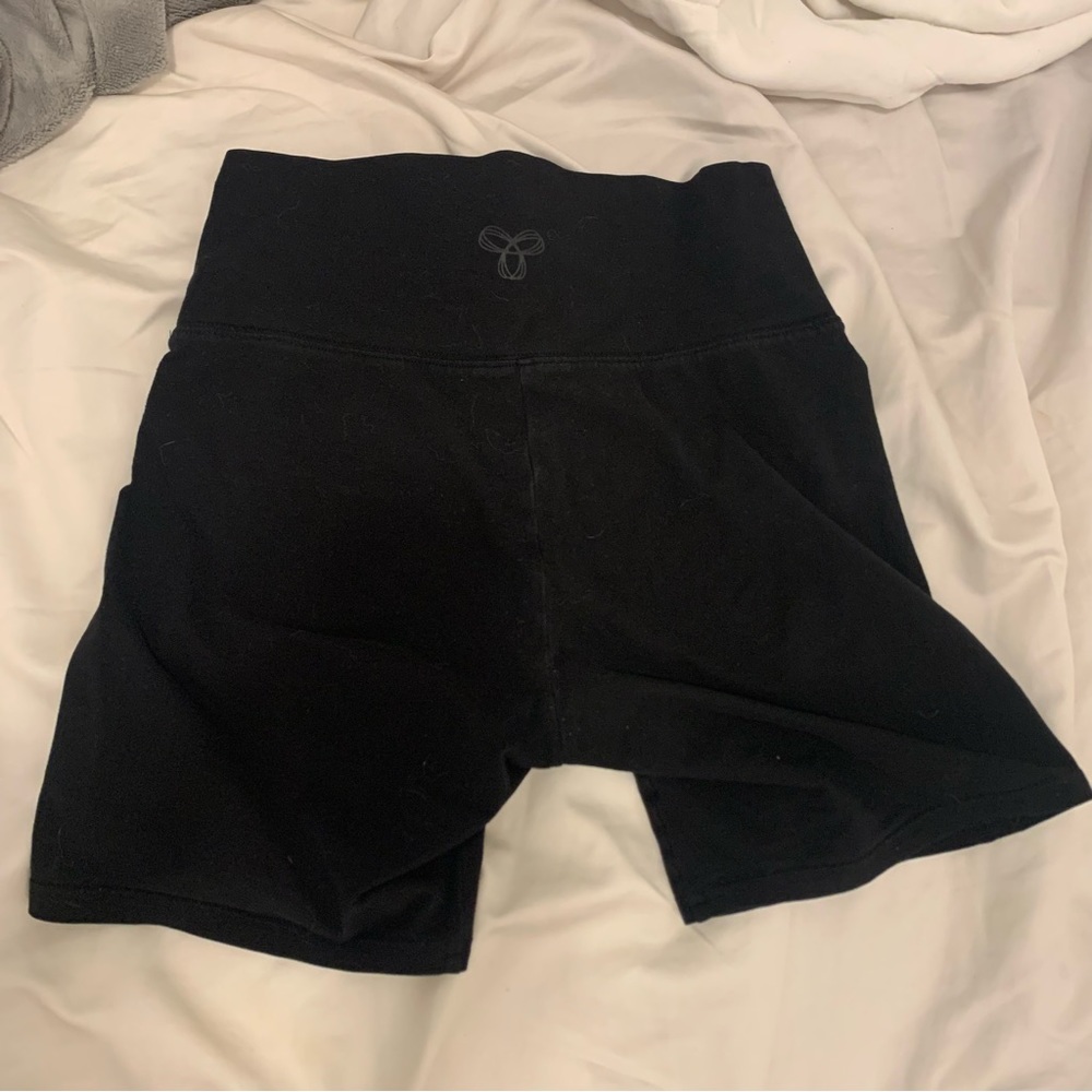Aritzia TNF biker shorts